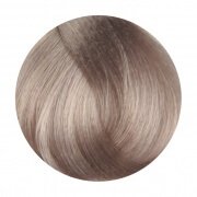 FANOLA 11.1 Superlight Blonde Platinum Ash 100g