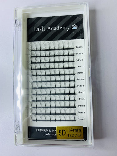 LASH ACADEMY 5D D CURL LONG STEM PRE FANNED VOLUME LASHES 0.07 8mm-15mm
