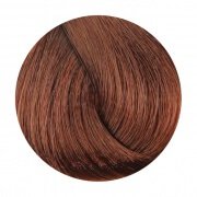 FANOLA 6.04 Natural Dark Copper Blonde 100g