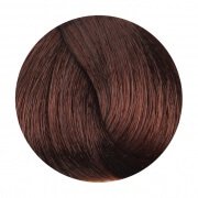 FANOLA 6.43 Dark Copper Golden Blonde 100g