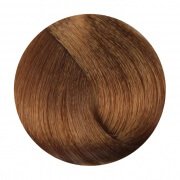 FANOLA 8.13 Light Beige Blonde 100g