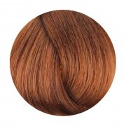 FANOLA 8.34 Light Golden Copper Blonde 100g