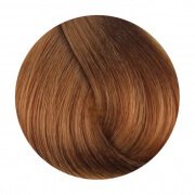 FANOLA 8.3 Light Golden Blonde 100g