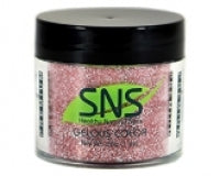 SNS 117 Embellished Laminate 28g gelous Color