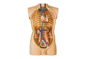 ACCREDITED BODY STRUCURES COURSE